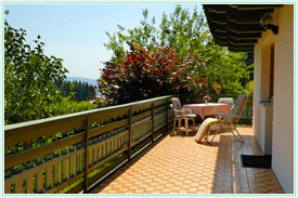Terrasse mit Bayerwald Blick