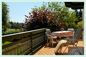 Terrasse mit Bayerwald Blick